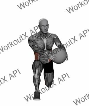 Med Ball Half Kneeling Wood Choppers exercise demonstration