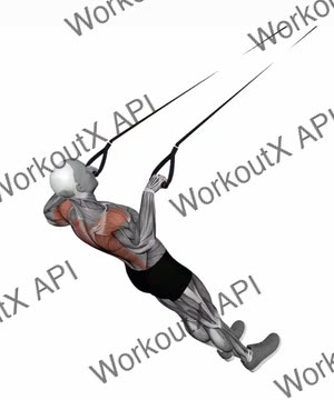 Suspension Trainer With Grips Wide Grip Inverted Row on Floor exercise demonstration