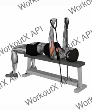 Band Bench Press exercise demonstration