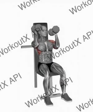 Dumbbell Seated Alternate Press exercise demonstration