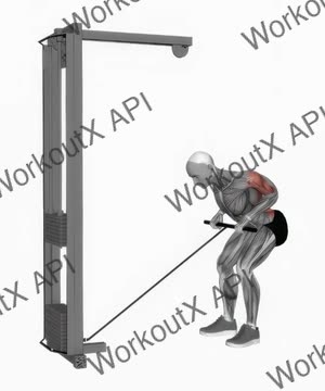 Cable Bent Over Row exercise demonstration