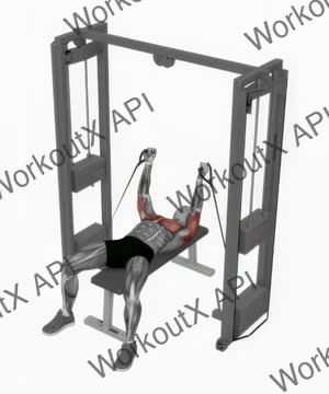 Cable Bench Fly Press exercise demonstration
