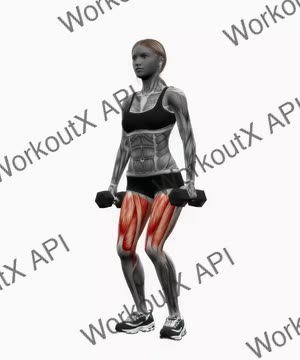 Dumbbell Narrow Stance Squats exercise demonstration