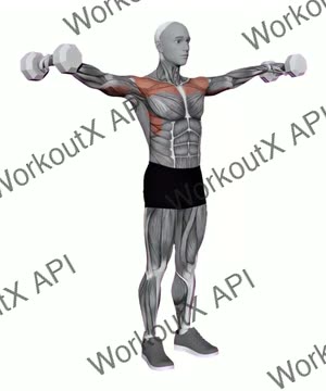 Lateral Raises Dumbbell exercise demonstration