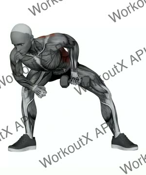 Dumbbell Knee Lawnmower Row exercise demonstration