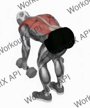 Dumbbell Bent-Over Row exercise demonstration