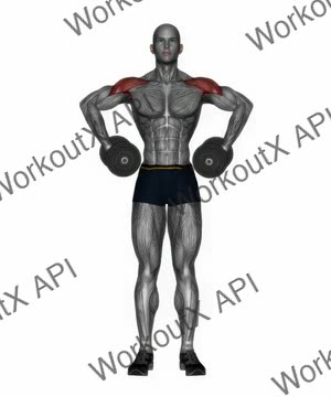 Dumbbell Armpit Row exercise demonstration