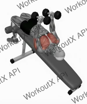 Dumbbell Decline Hammer Press exercise demonstration