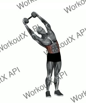 Dumbbell Overhead Side Bend exercise demonstration