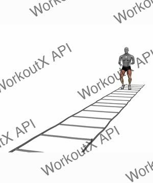 Agility Ladder Skipping 1 Touch exercise demonstration