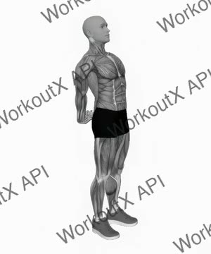 Bodyweight Standing Back Stretch exercise demonstration