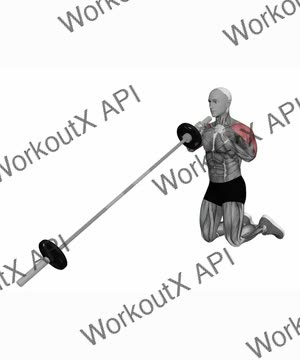 Landmine Kneeling Alternating Overhead Press exercise demonstration