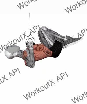 Suspension Trainer With Grips Knee Tuck Row exercise demonstration