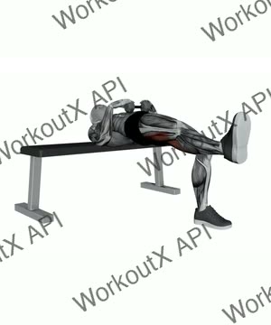 Dumbbell Single Leg Hip Thrust exercise demonstration
