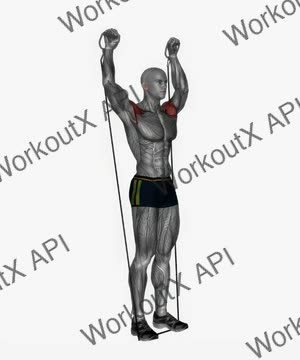 Arnold Press Cable Resistance Band Standing exercise demonstration