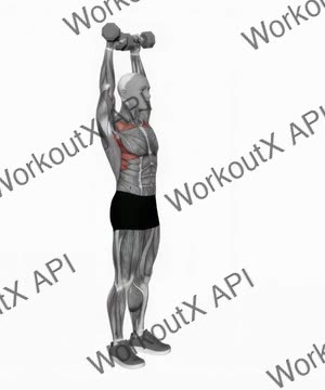 Dumbbell Standing Front Raise Above Head exercise demonstration