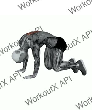 Cat Pose exercise demonstration