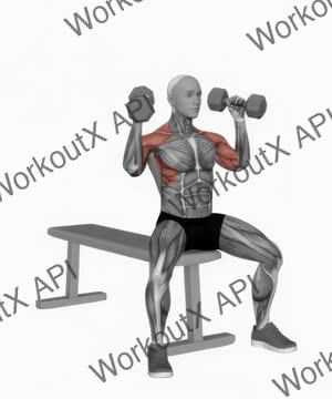 Dumbbell Arnold Press (Version 2) exercise demonstration