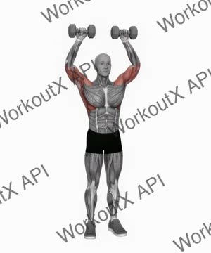 Dumbbell Cuban Press (Version 2) exercise demonstration