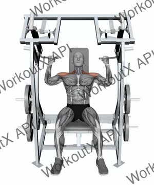 Iso Lateral Shoulder Press Both Arms exercise demonstration