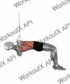 Suspension Trainer With Grips Bent Knee Inverted Row exercise demonstration