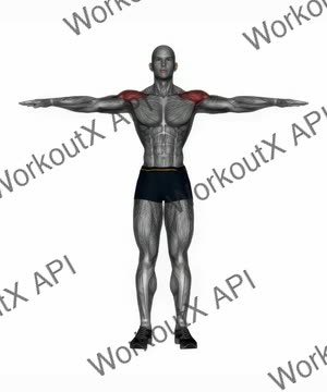 Lateral Raise Bodyweight exercise demonstration