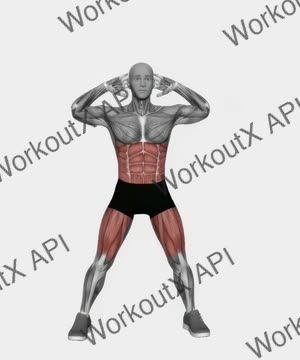 Criss Cross Elbow to Knee exercise demonstration