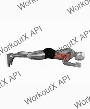 Elbow Push Plank Up exercise demonstration