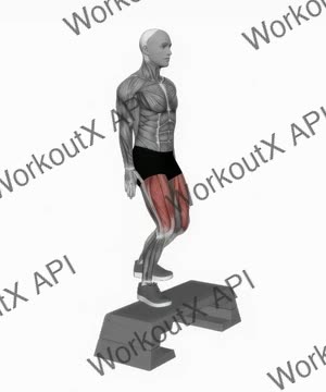 Bodyweight Step-Up on Step Box exercise demonstration