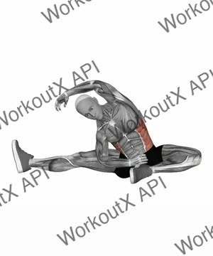 Revolved Head to Knee exercise demonstration