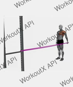 Resistance Band Standing Single Arm Shoulder Extension exercise demonstration