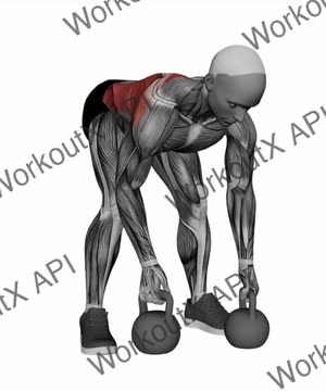 Kettlebell Gorilla Row exercise demonstration