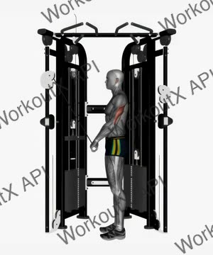 Cable Triceps Push Down Straight Bar exercise demonstration