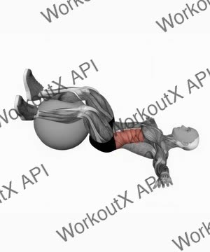 Bent Knee Lying Twist (On Stability Ball) exercise demonstration