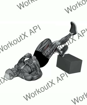 Dumbbell Feet Elevated Single Leg Glute Bridge exercise demonstration
