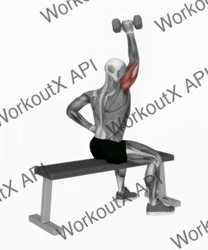Dumbbell One Arm Triceps Extension (On Bench) exercise demonstration
