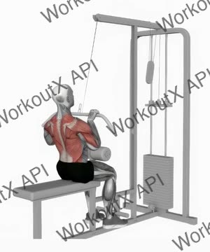 Cable Pulldown exercise demonstration