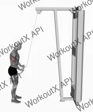 Cable Pushdown exercise demonstration