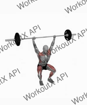 Barbell Snatch exercise demonstration