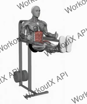 Captains Chair Straight Leg Raise exercise demonstration