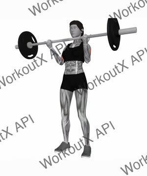 Barbell Curl exercise demonstration