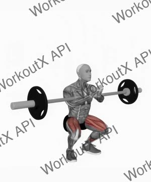 Barbell Full Zercher Squat exercise demonstration