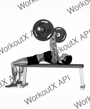 Barbell Bench Press (Variation 2) exercise demonstration