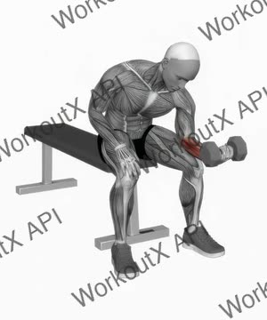 Dumbbell One Arm Wrist Curl exercise demonstration