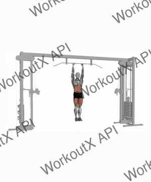 Hanging Oblique Knee Raise exercise demonstration