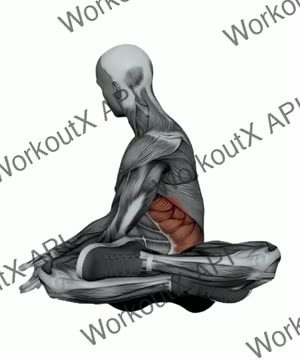 Easy Seated Twist Pose exercise demonstration