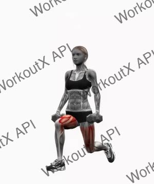 Dumbbell Reverse Lunges Pulses exercise demonstration
