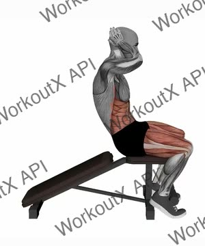 Decline Levitating Sit Ups Bodyweight exercise demonstration
