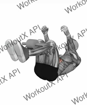 Ab Wheel Take It or Leave It exercise demonstration