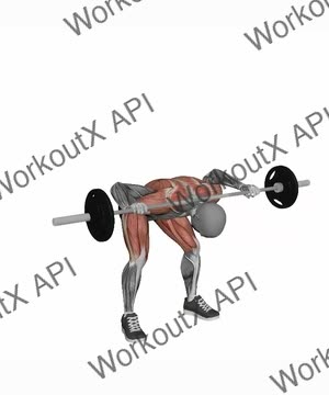 Good Mornings Barbell exercise demonstration